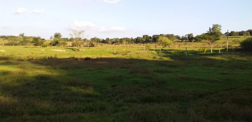 �rea - Venda - Zona Rural - Porangaba - SP