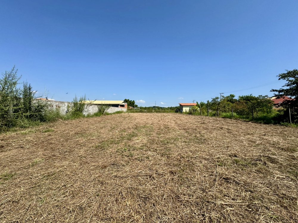 Terreno - Venda - Loteamento Recanto do Bosque - Porangaba - SP