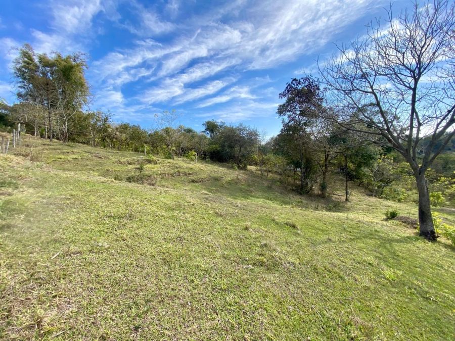 Ch�cara - Venda - Rural - Torre de Pedra - SP
