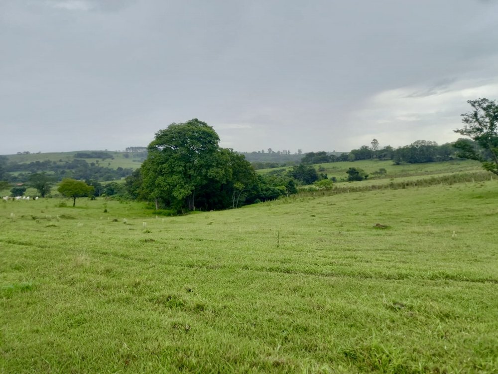 S�tio - Venda - Rural - Ces�rio Lange - SP