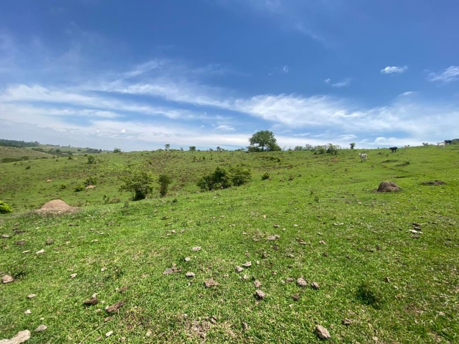 S�tio - Venda - Rural - Guare� - SP