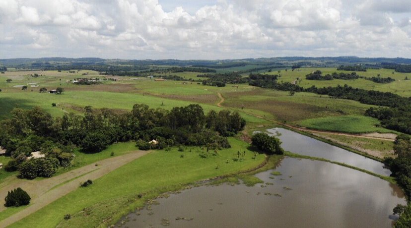 Fazenda - Venda - Zona Rural - Quadra - SP