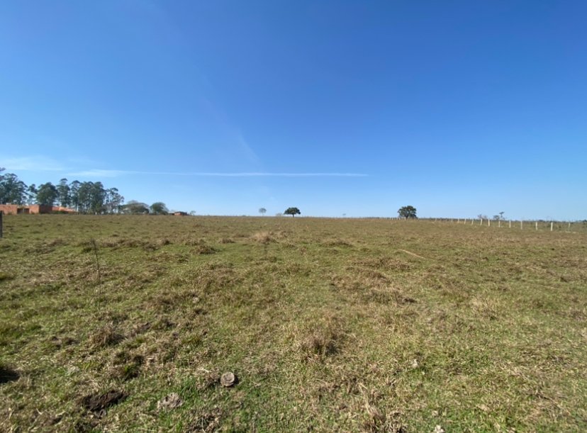 �rea - Venda - Zona Rural - Porangaba - SP