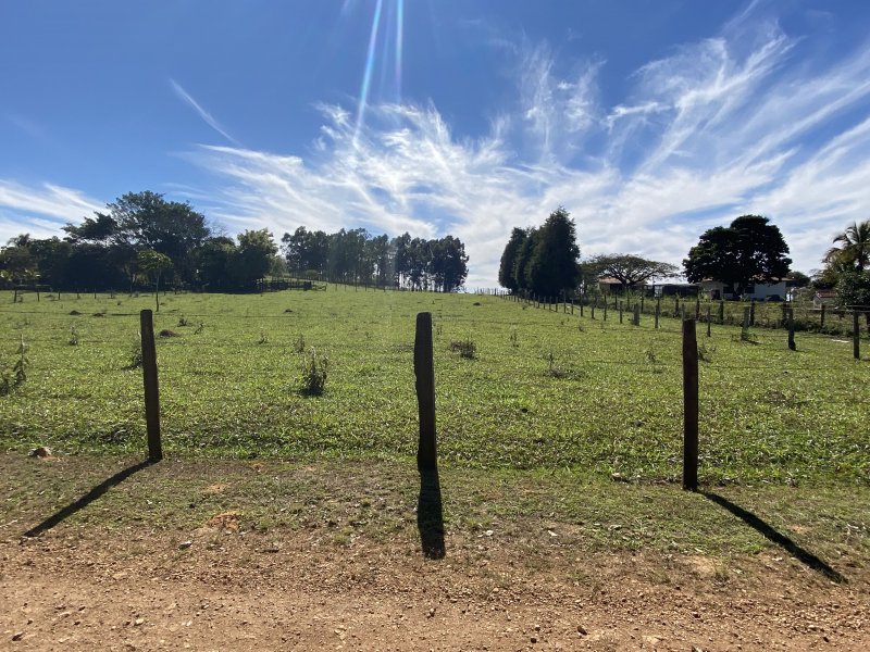 Terreno - Venda - Loja Cem (faz. Boa Esperan�a) - Porangaba - SP