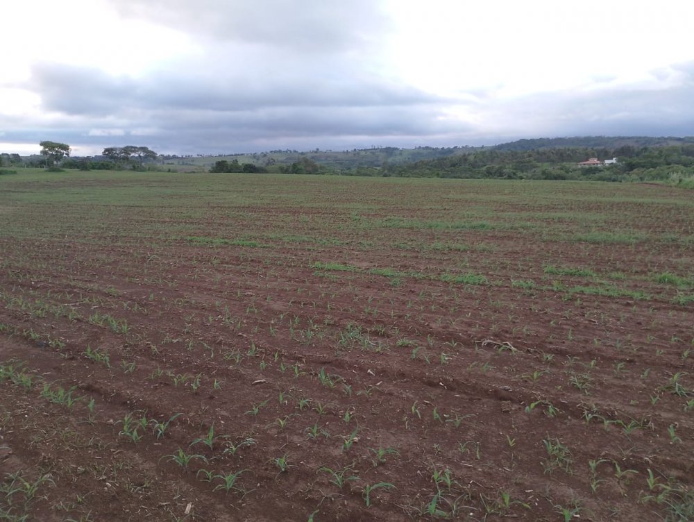 Área - Venda - Centro - Quadra - SP