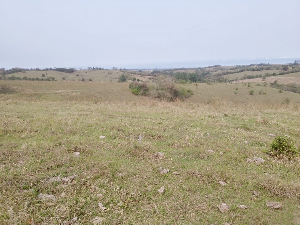 S�tio - Venda - Rural - Guare� - SP