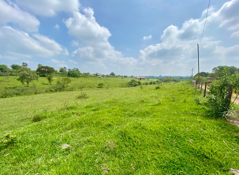 Área - Venda - Rural - Porangaba - SP