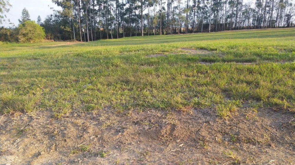 Terreno em Condomínio - Venda - Condomínio Ninho Verde 1 - Quadra - SP