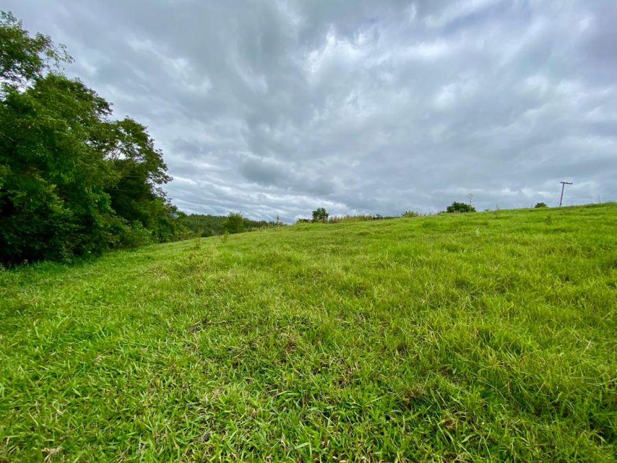 �rea - Venda - Centro - Porangaba - SP