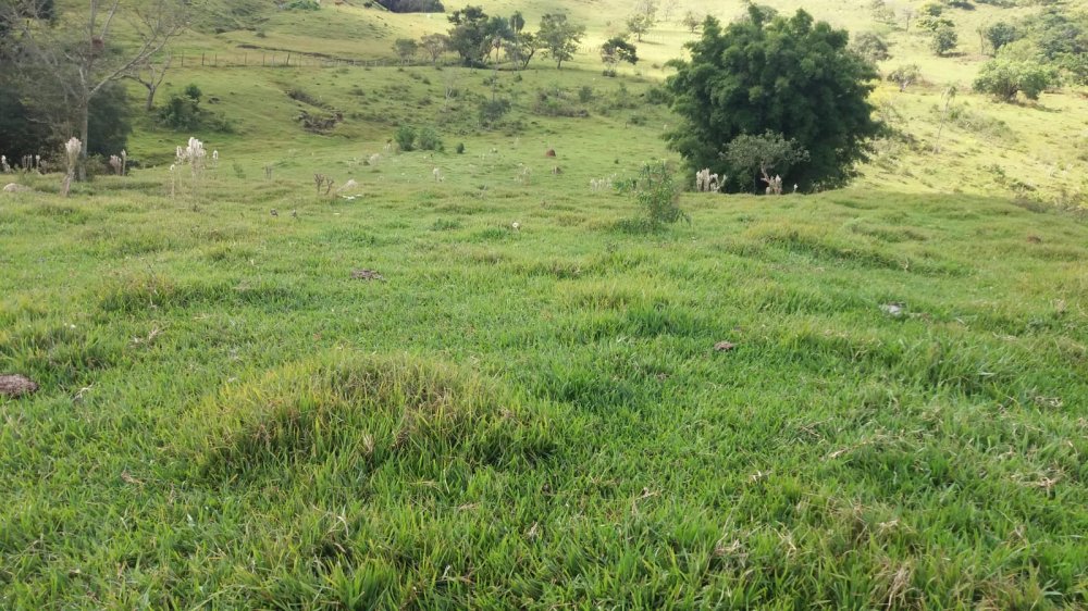 S�tio - Venda - Zona Rural - Bofete - SP