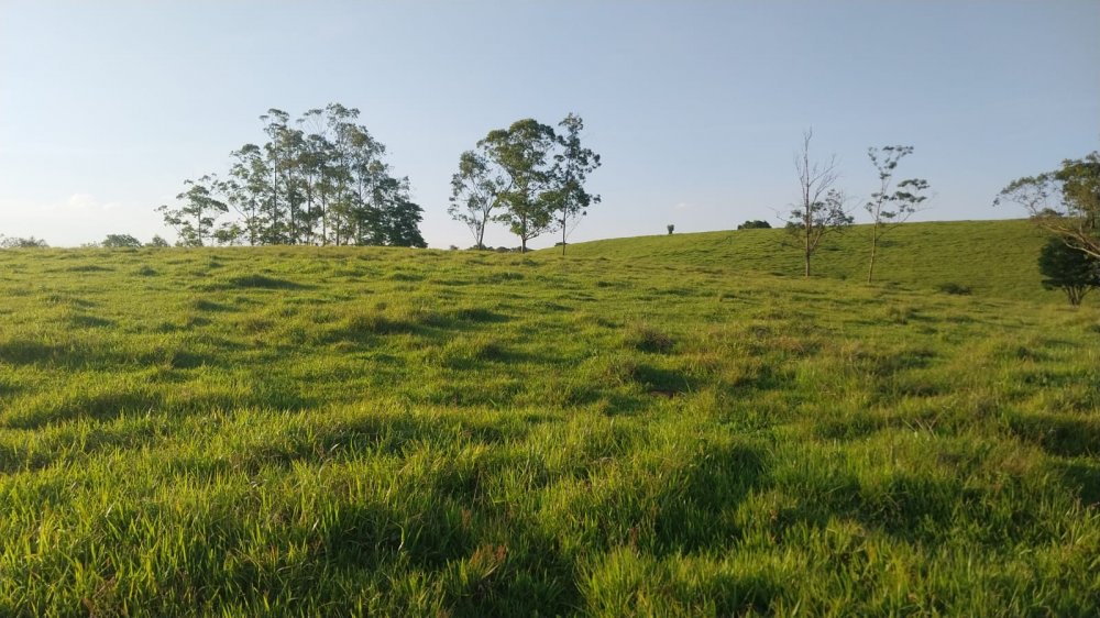 Sítio - Venda - Zona Rural - Quadra - SP