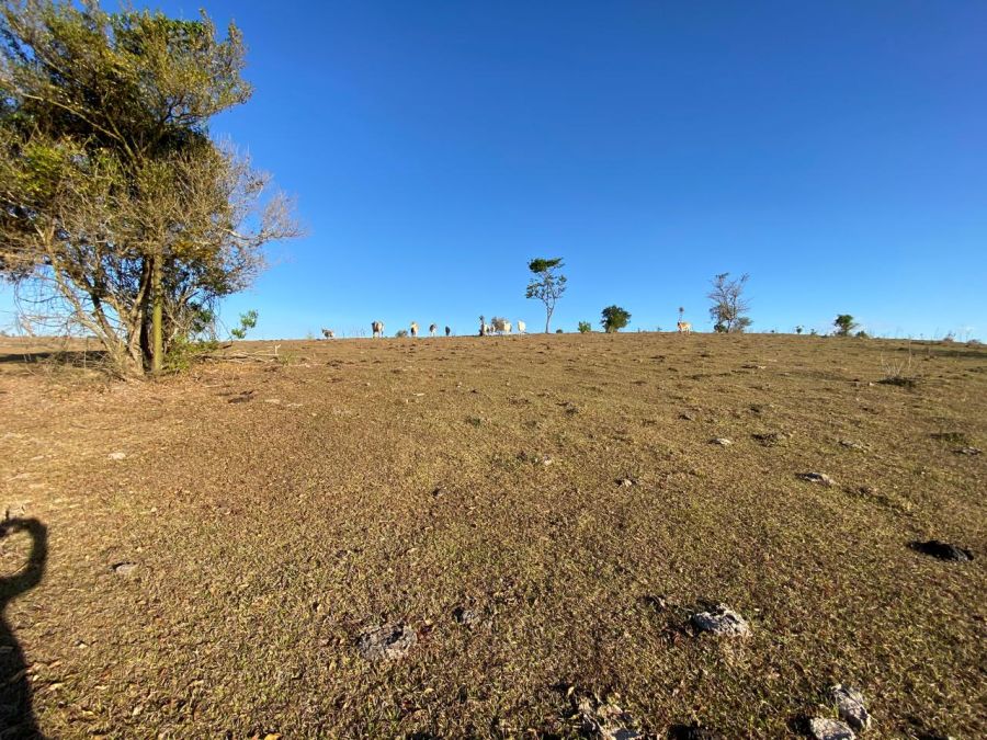 Ch�cara - Venda - Rural - Torre de Pedra - SP