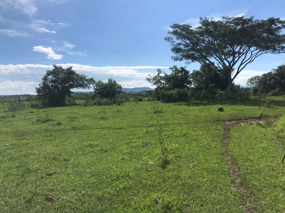 Ch�cara - Venda - Zona Rural - Quadra - SP