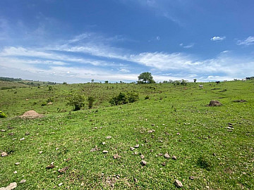 Sitio